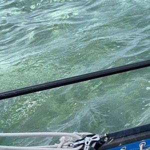 Meet your Posher, Giev